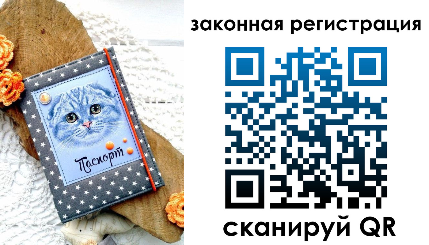 регистрация в Великих Луках